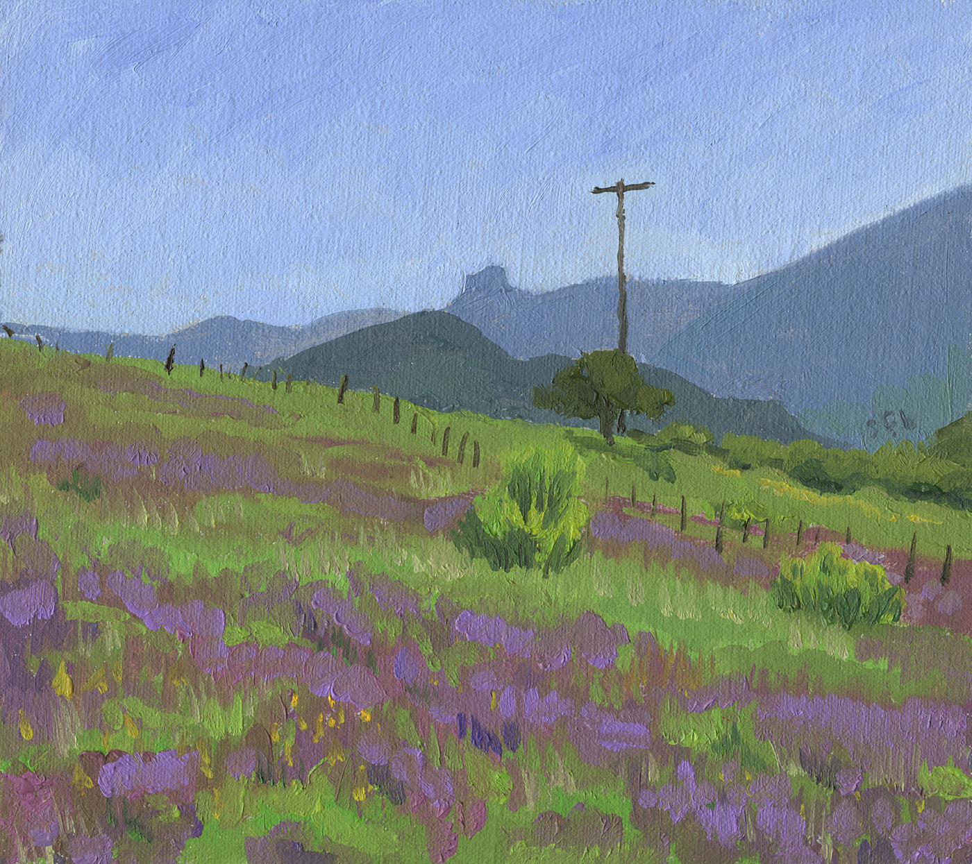 Pilot Rock, Springtime