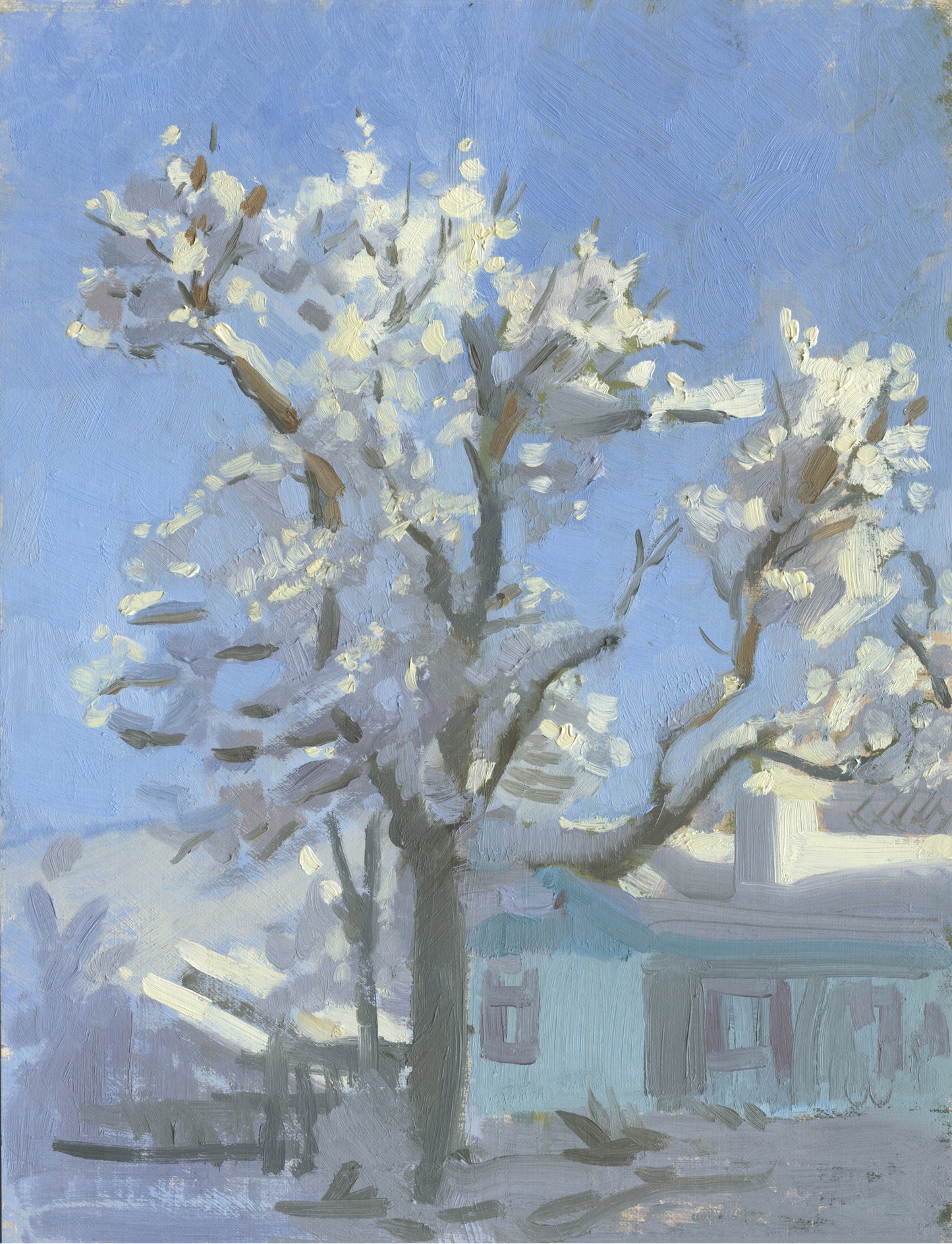 Neighbor's Tree Snow Day