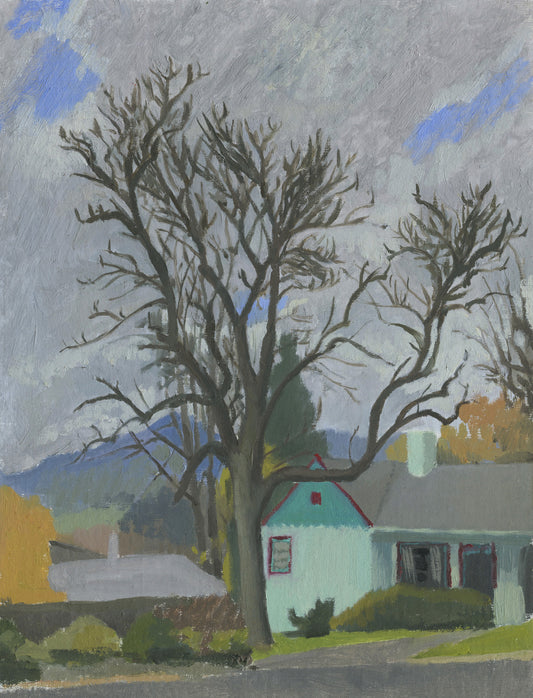 Neighbor's Tree Winter