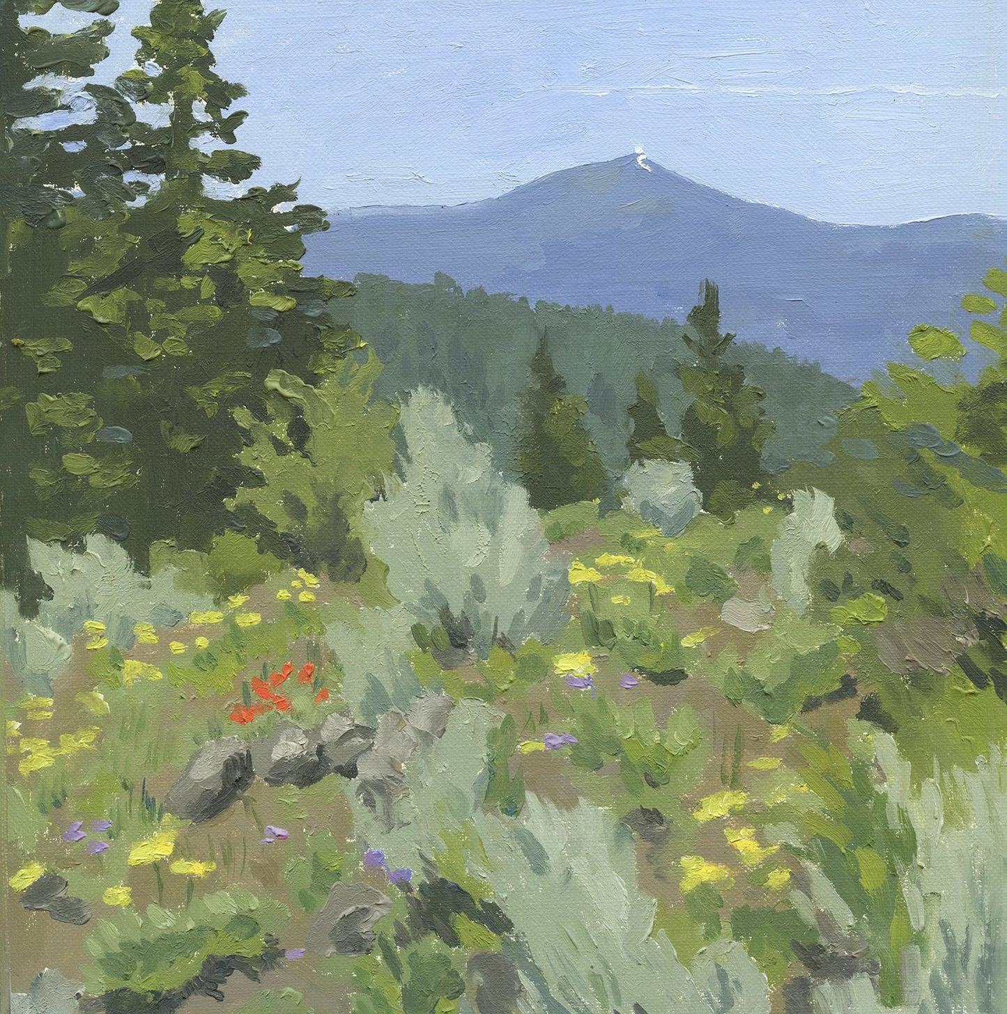 Mt. Ashland From Porcupine Gap
