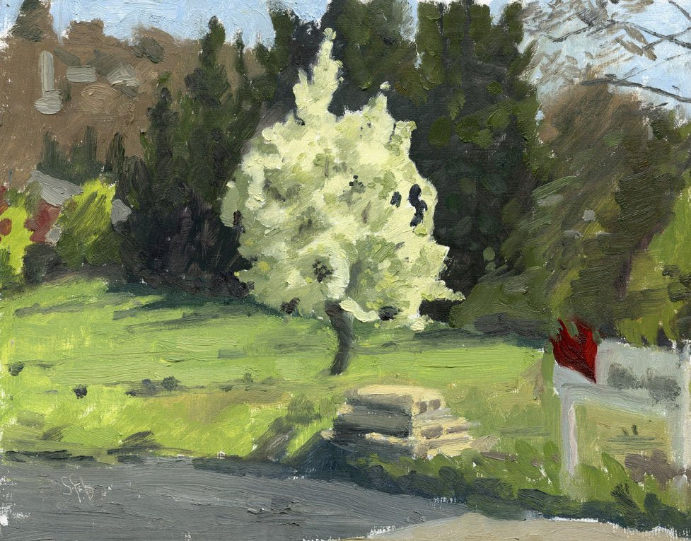 Spring Green and Apple Blossoms - Blooming Tree