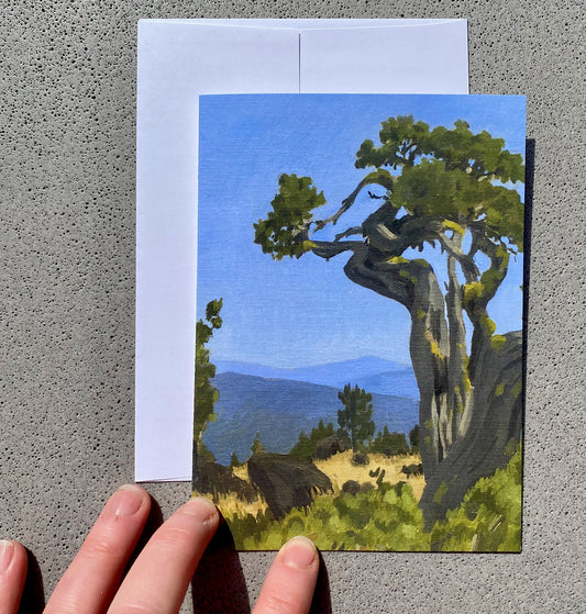 Note Card - Juniper in the Cascades